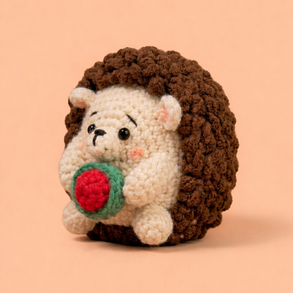Hedge Hog Crochet Kit