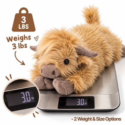 Cowmfy Weighted Highland Cow